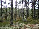 PA250008.JPG