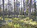 PA260018.JPG