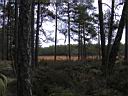 Pa060054.jpg