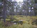 Pa130004.jpg