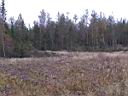 Pa130015.jpg