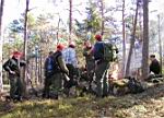 Samling