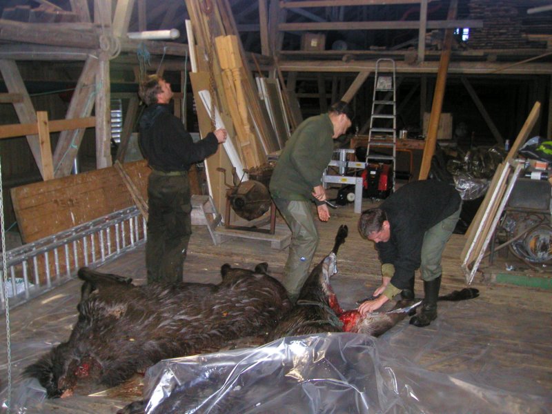slaktingplven6oktober2006.jpg
