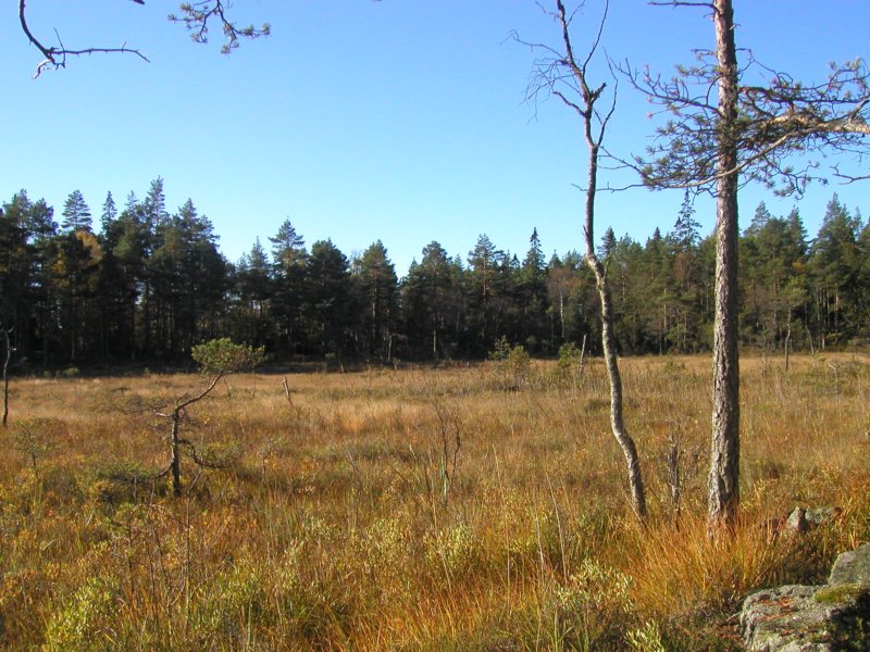 stensmosenbaderisol.jpg