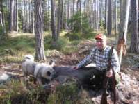 elgjakt029_small.jpg