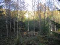 pa050054_small.jpg