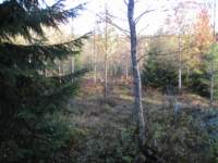 pa050055_small.jpg