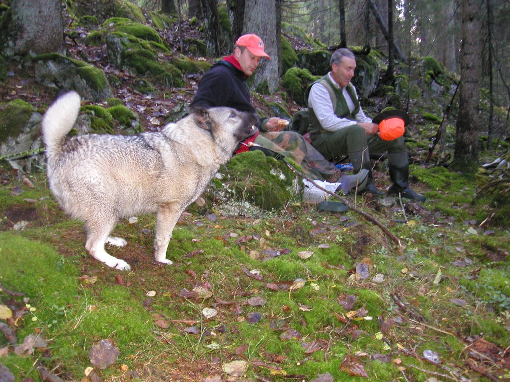pa050059.jpg