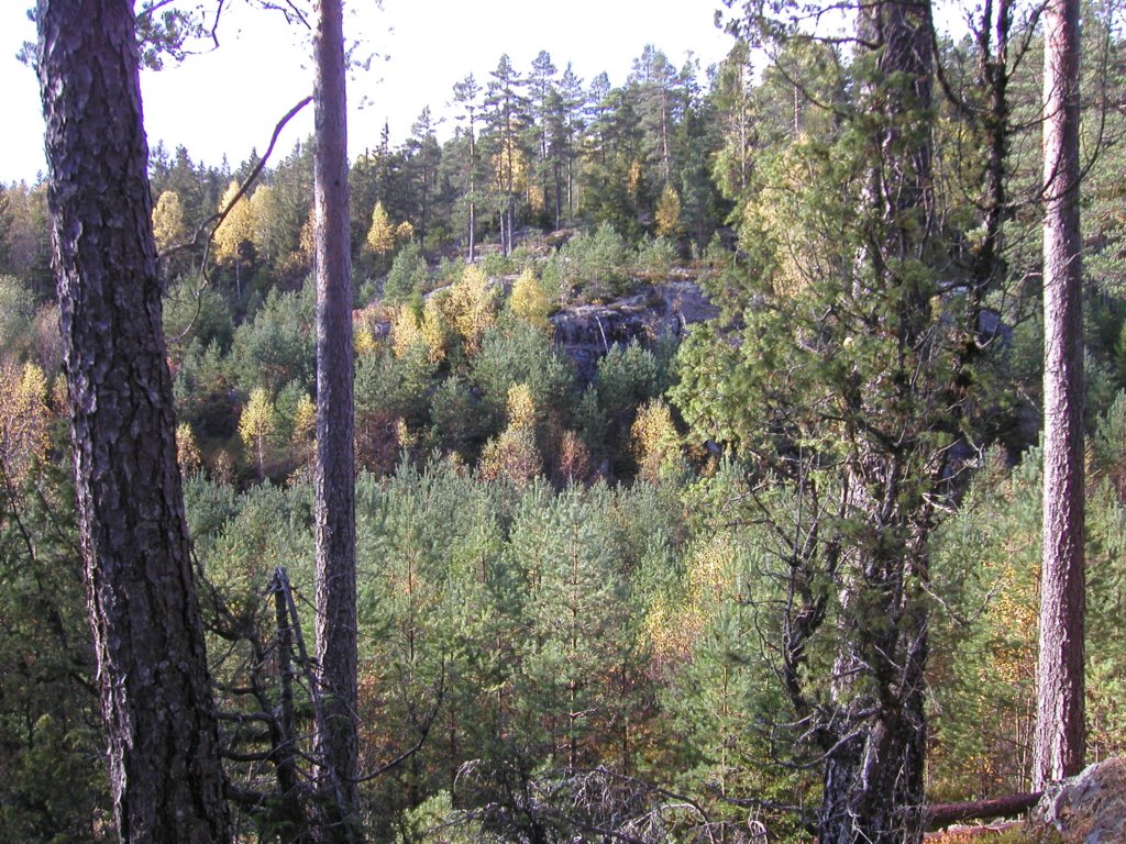 pa050064.jpg