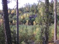 pa050064_small.jpg