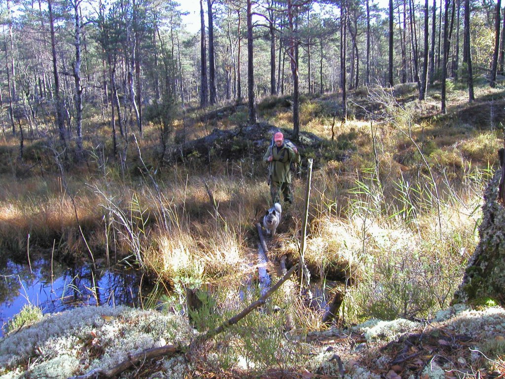 pa060067.jpg