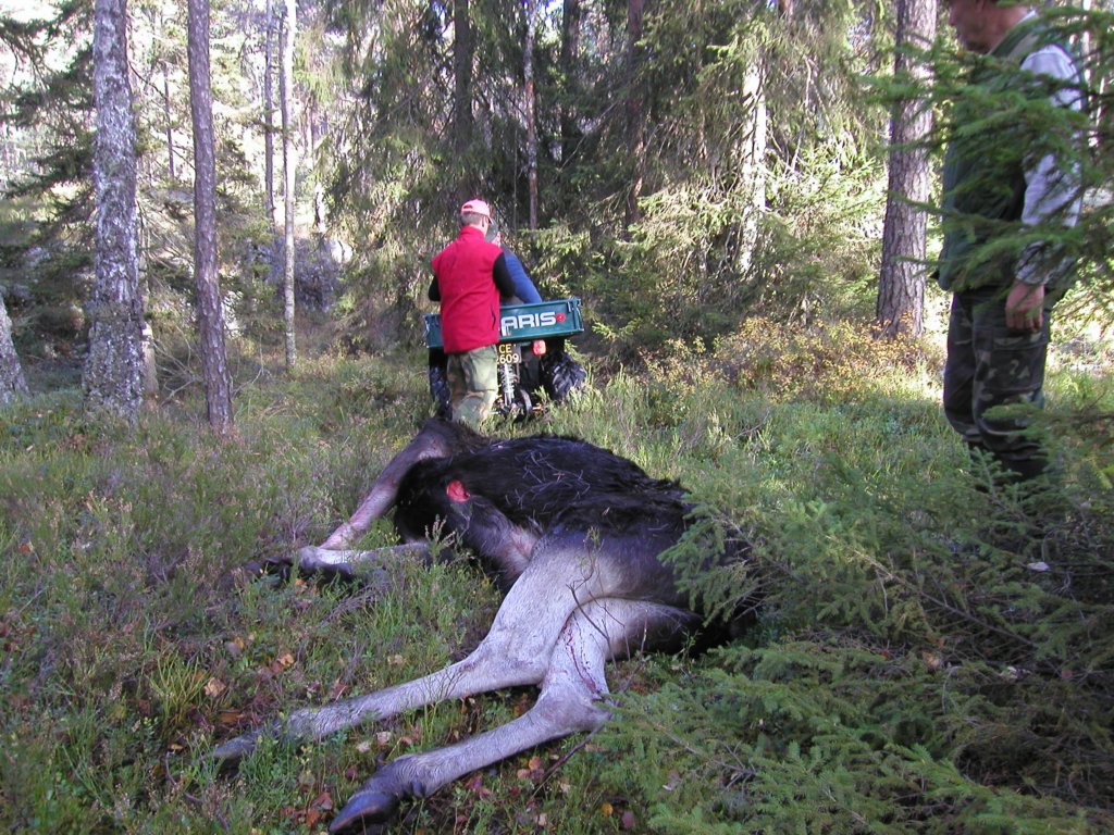 pa060074.jpg