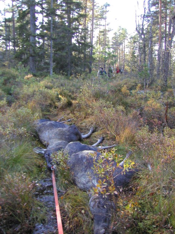 pa060075.jpg