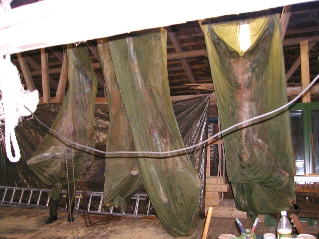 pa060080.jpg