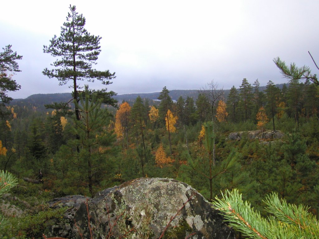 pa110001.jpg