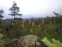 pa110001_small.jpg