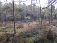 pa120003_small.jpg