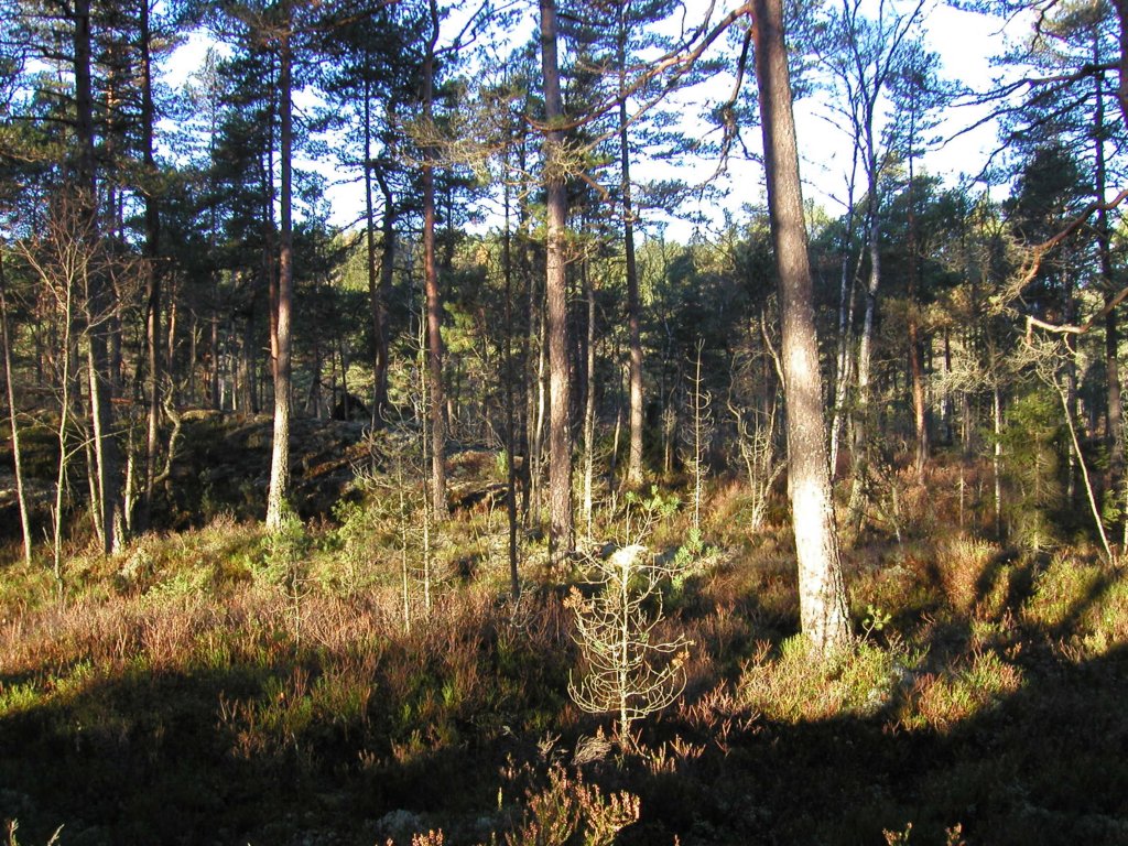 pa190007.jpg