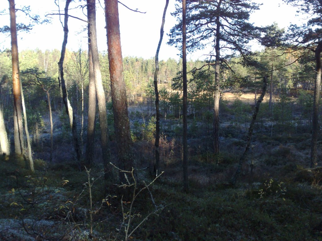 photo2.jpg