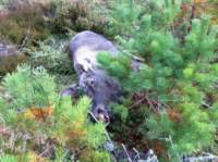 img_0751_small.jpg