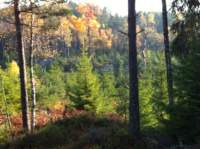 img_1149_small.jpg