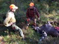 img_1750_small.jpg