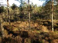 img_1754_small.jpg