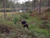 img_1701_small.jpg