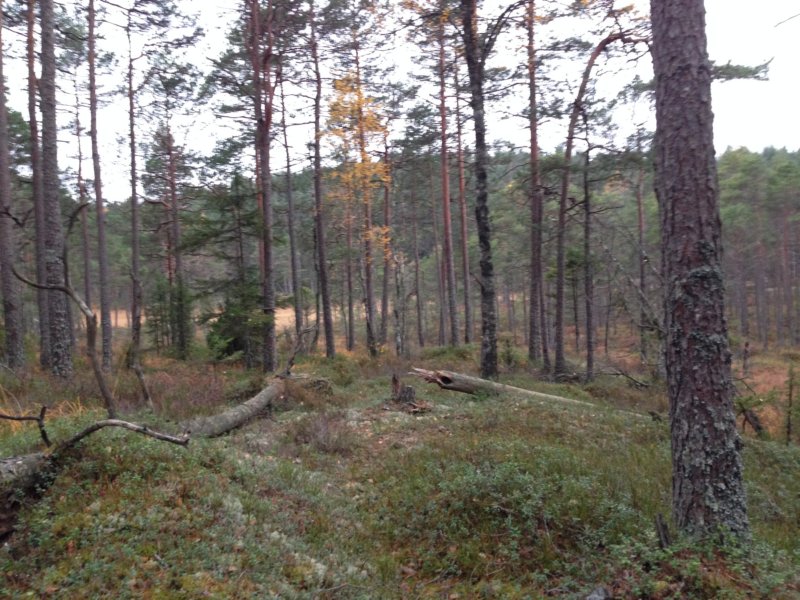 img_1770.jpg
