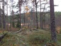 img_1770_small.jpg