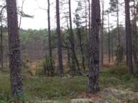 img_1771_small.jpg