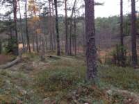 img_1772_small.jpg