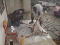 p1010015_small.jpg