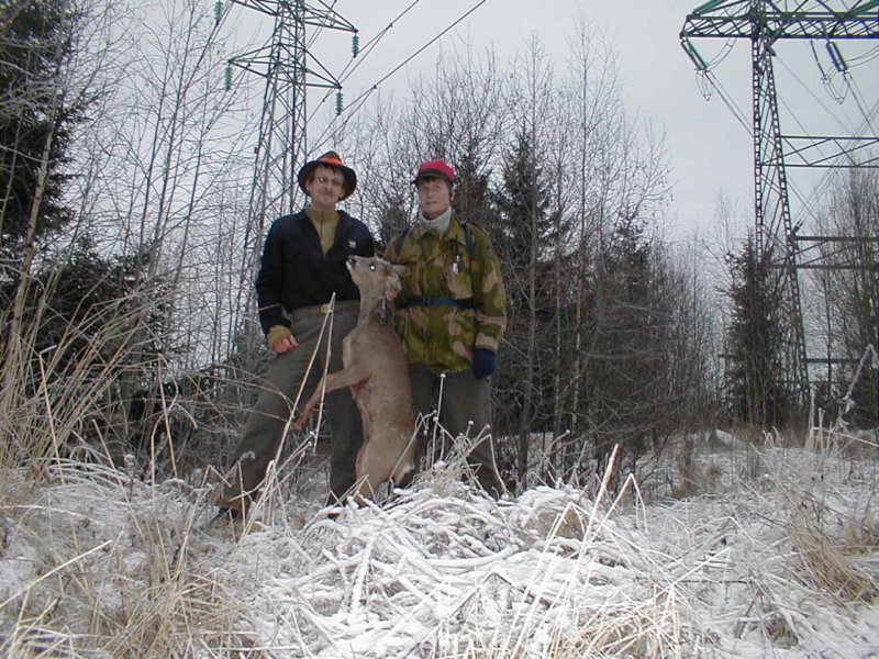 rp1010012.jpg