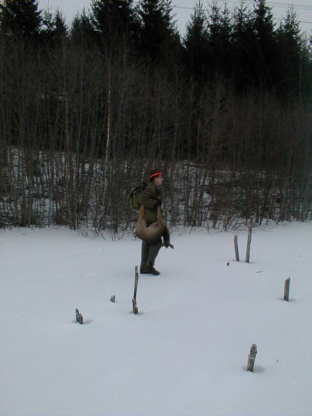 rp1010015.jpg