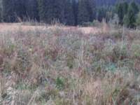 pa130002_small.jpg