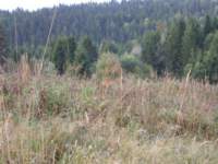 pa130003_small.jpg