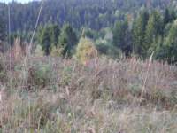 pa130004_small.jpg
