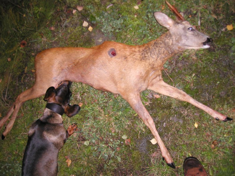 pa230004.jpg