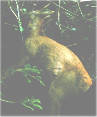 photo.jpg