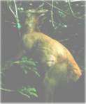 photo_small.jpg