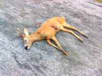 photo2_small.jpg