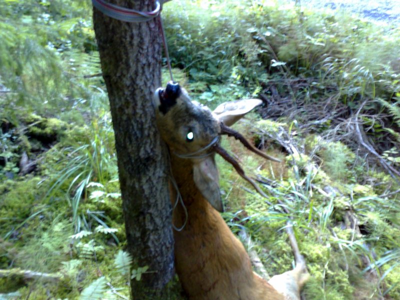 photo3.jpg