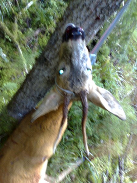 photo4.jpg