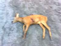 photo_small.jpg