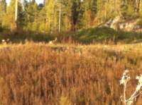 img_1411_small.jpg