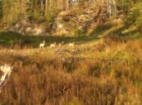 img_1414_small.jpg