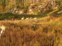 img_1416_small.jpg