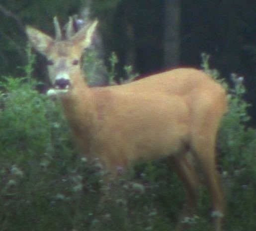 img_2284.jpg