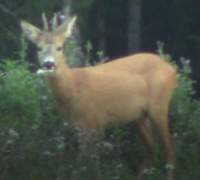 img_2284_small.jpg